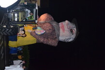 DSC_0736.JPG